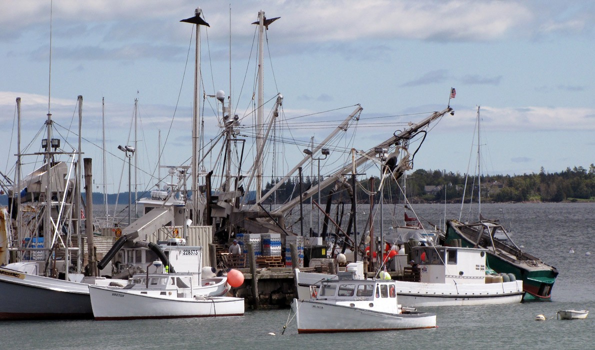 Maine commercial fish pier gets 830K grant for upgrades National Fisherman