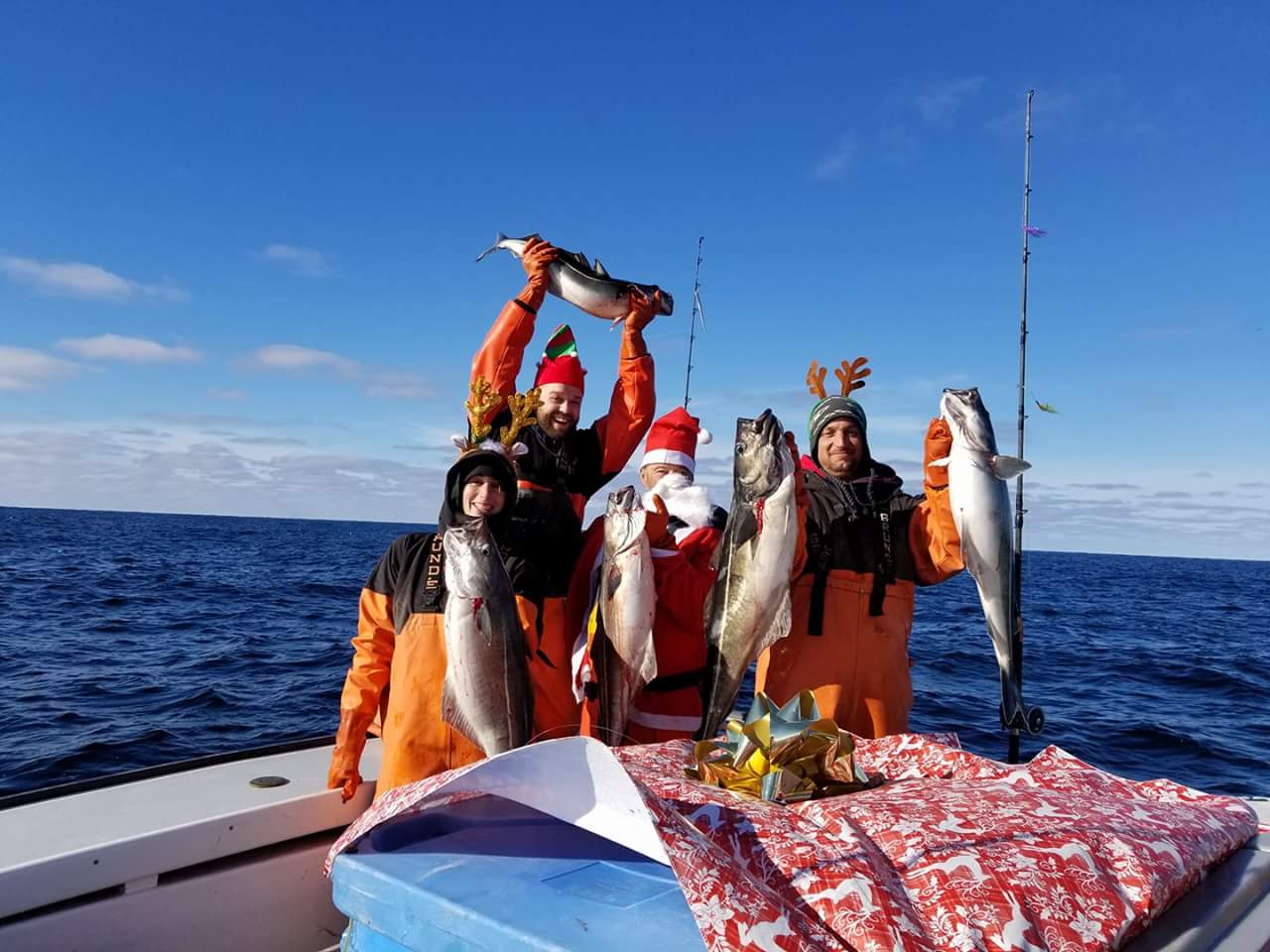 Rock FISHING Santa Barbara CATCH AND COOK (LING COD) 