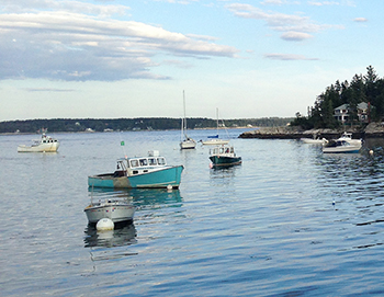 2014 0527 lobster finn