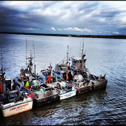 2014 Mixed Catch 923 2nd