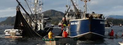 2014 1023 Boats and Gear tender slideheader3