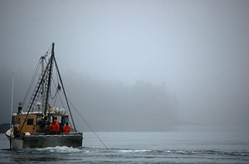 2016 0314 scalloperMAINEDMR