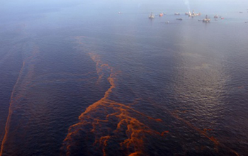 BP drops $1 billion seafood industry spill payments fight | National ...