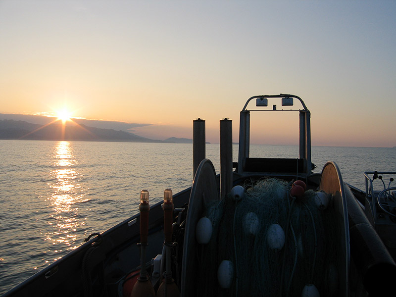 Alaska Wildlife Troopers found Clifford 