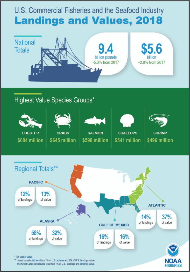 Commercial Fishing Gear stock photo. Image of fish, industry