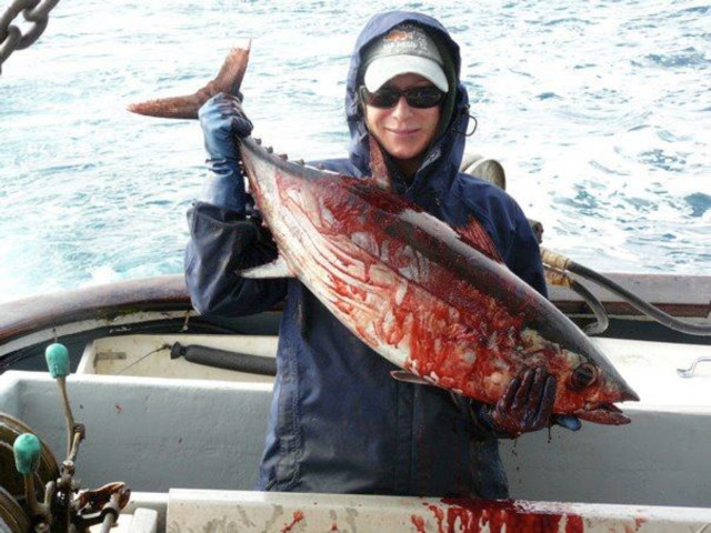 F/V Princess albacore tuna