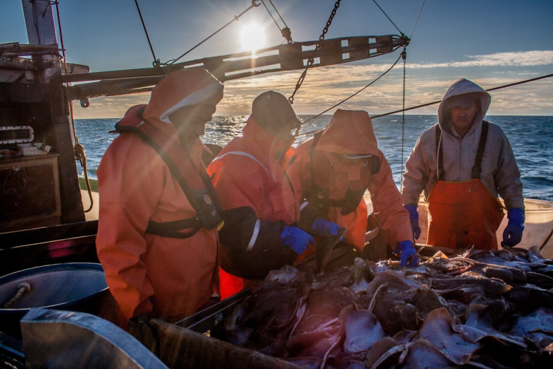 Fishermen on fishing boat