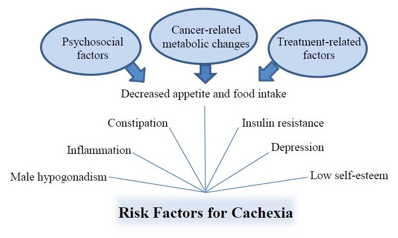 navigating-the-complex-terrain-of-cancer-cachexia-natural-medicine