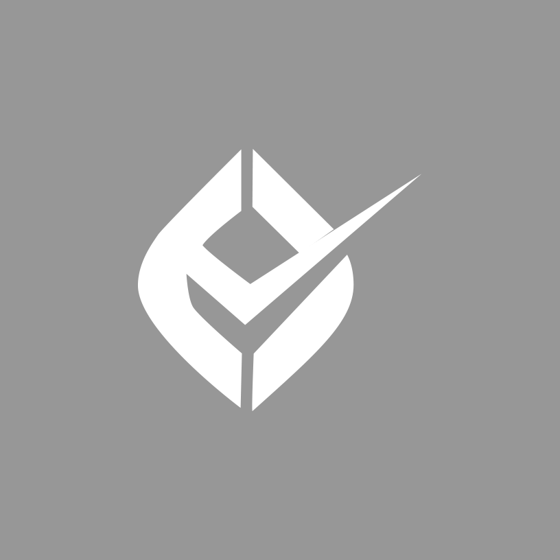 The Company Logo