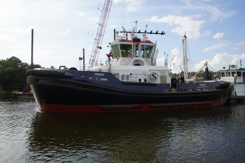 rsz_art_trident_side_profile