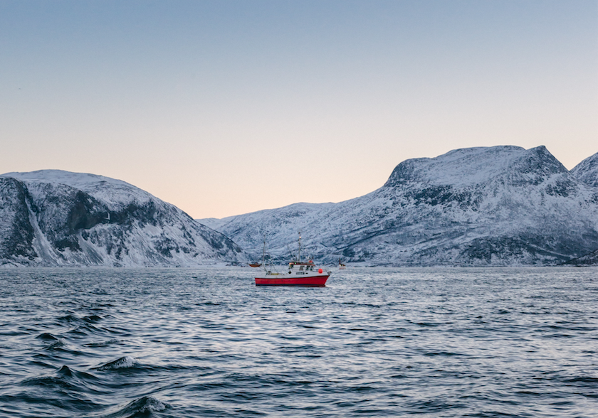 Screen Shot 2019-03-27 at 5.56.26 PM