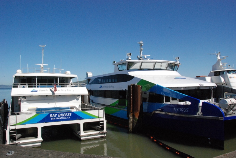 hydrus-and-bay-breeze-800x536