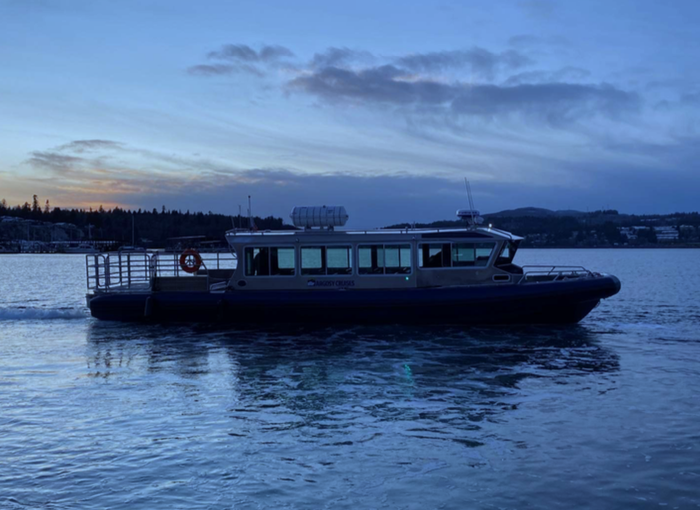 Screen Shot 2020-04-21 at 1.41.16 PM