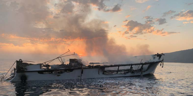 Screen Shot 2020-10-21 at 9.56.50 AM