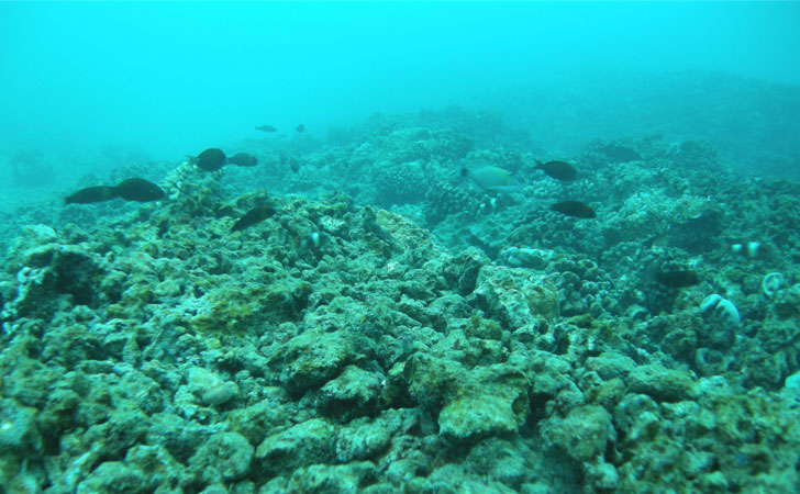 40a2e8467641aea25372d13d56e562ff