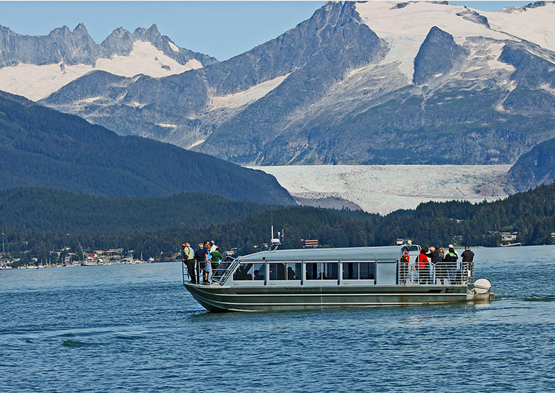 Dolphin-Jet-Tours-Whale-Watch-Ravens-Journey-FB