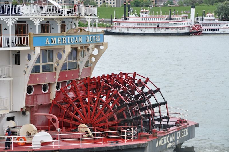 AQ Belle Cinn_Dkrapf