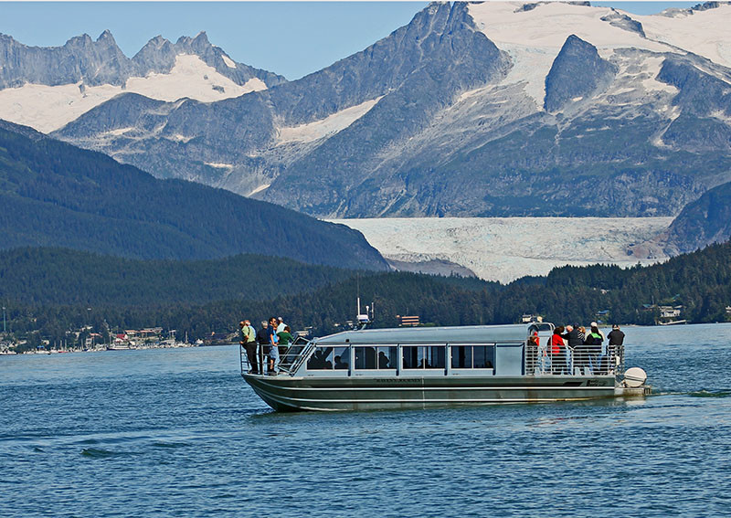 Dolphin-Jet-Tours-Whale-Watch-Ravens-Journey-FB