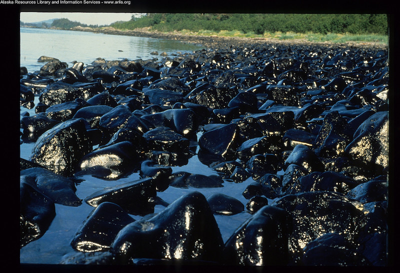 Exxon Valdez Oil Spill ARLIS 0038