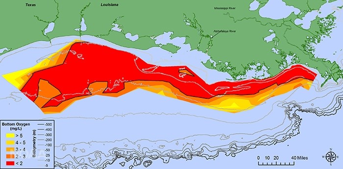 Gulf dead zone NOAA
