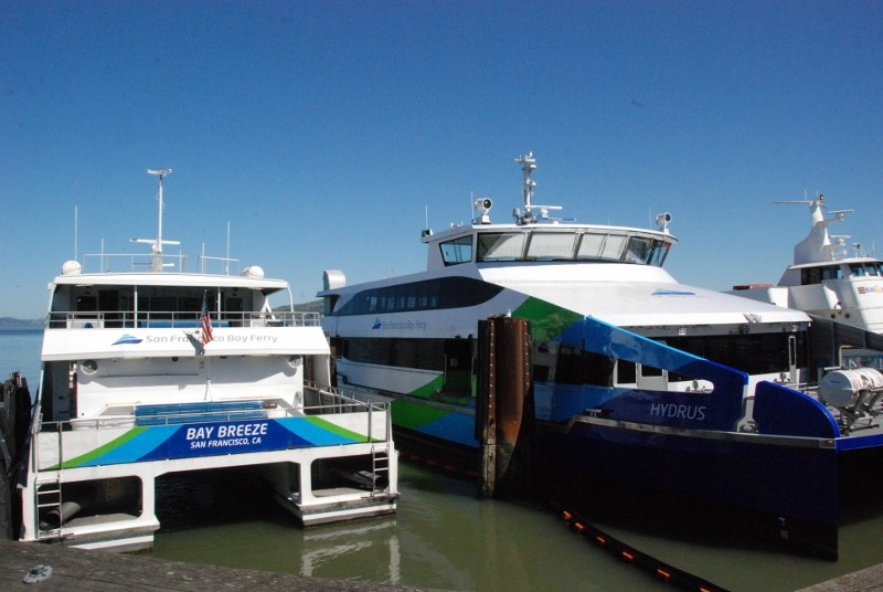 hydrus-and-bay-breeze-800x536