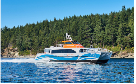 Screen Shot 2019-08-02 at 12.26.46 PM