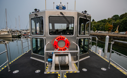 Screen Shot 2020-11-10 at 3.44.49 PM