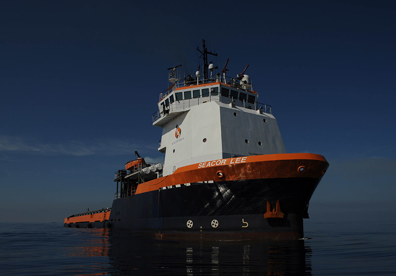 Deepwater Horizon oil spill response