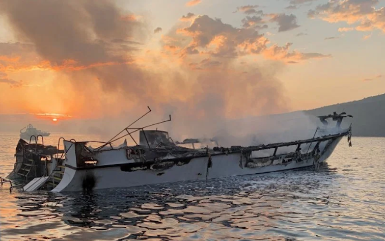 thumbnail_VCFD Conception 2