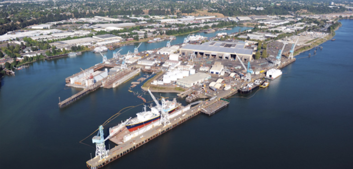 WB-07-25-2019-vigor-png