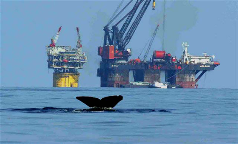 Groups aim to limit U.S. offshore drilling in wake of Trump win 