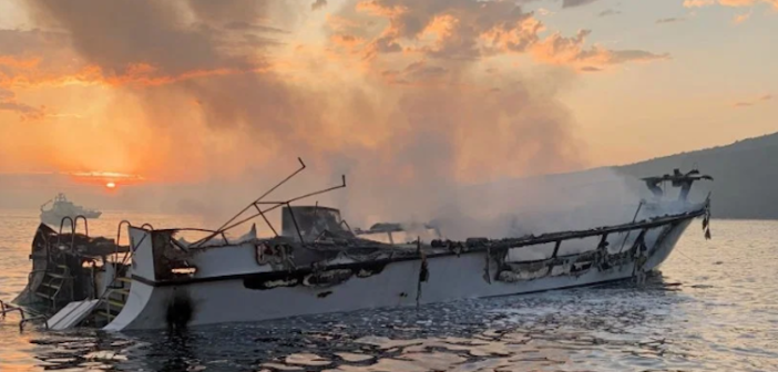 thumbnail_VCFD-Conception-2-702x336